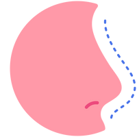 Sides of the nose